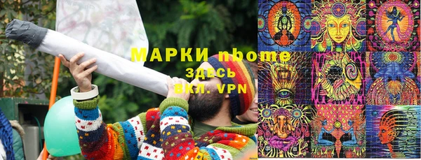 прущие грибы Майский