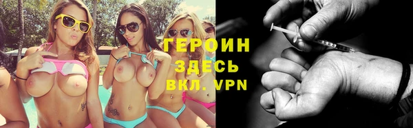 гидра Магас