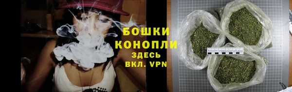 гидра Магас