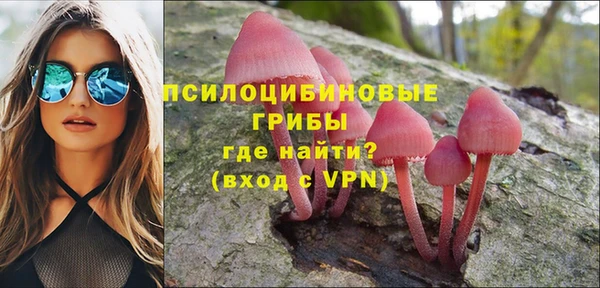 прущие грибы Майский