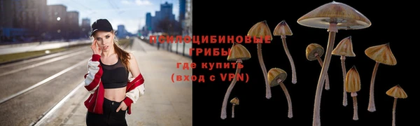 a pvp Богородицк