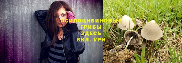 прущие грибы Майский