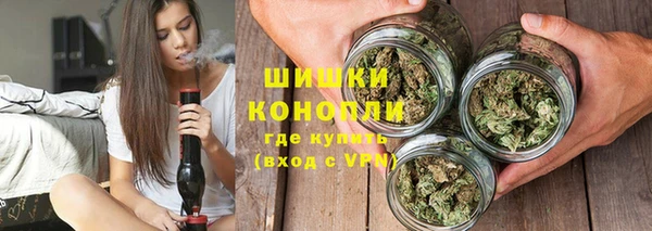 гидра Магас