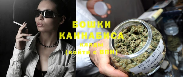 прущие грибы Майский
