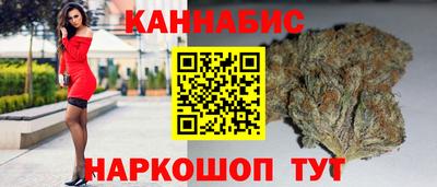 ALPHA PVP Камышлов