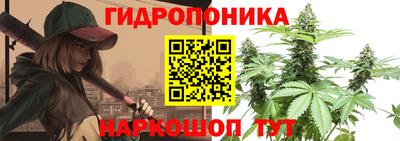 PSILOCYBIN Кандалакша