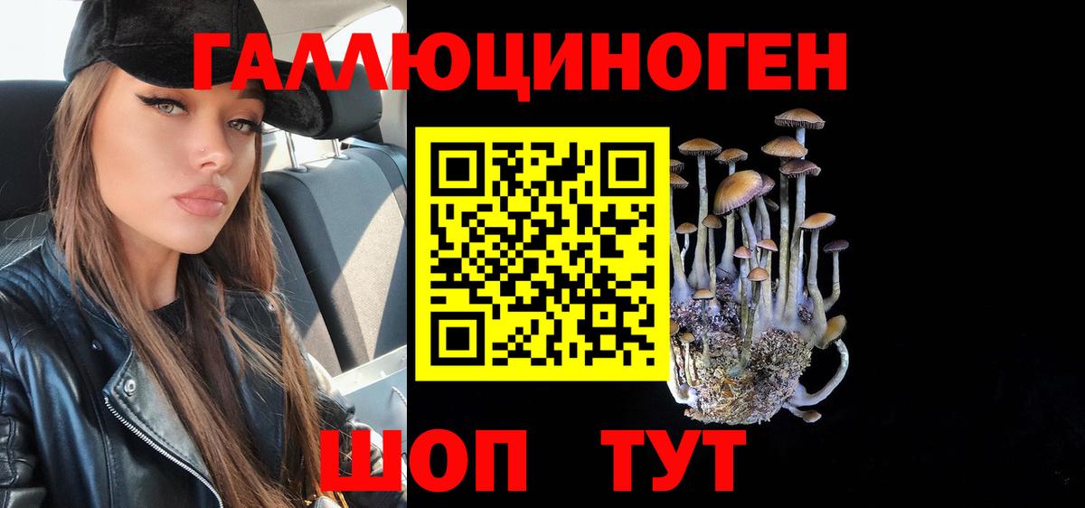 Галлюциногенные грибы прущие грибы  Вход с VPN  Шуя  Псилоцибиновые грибы MAGIC MUSHROOMS 