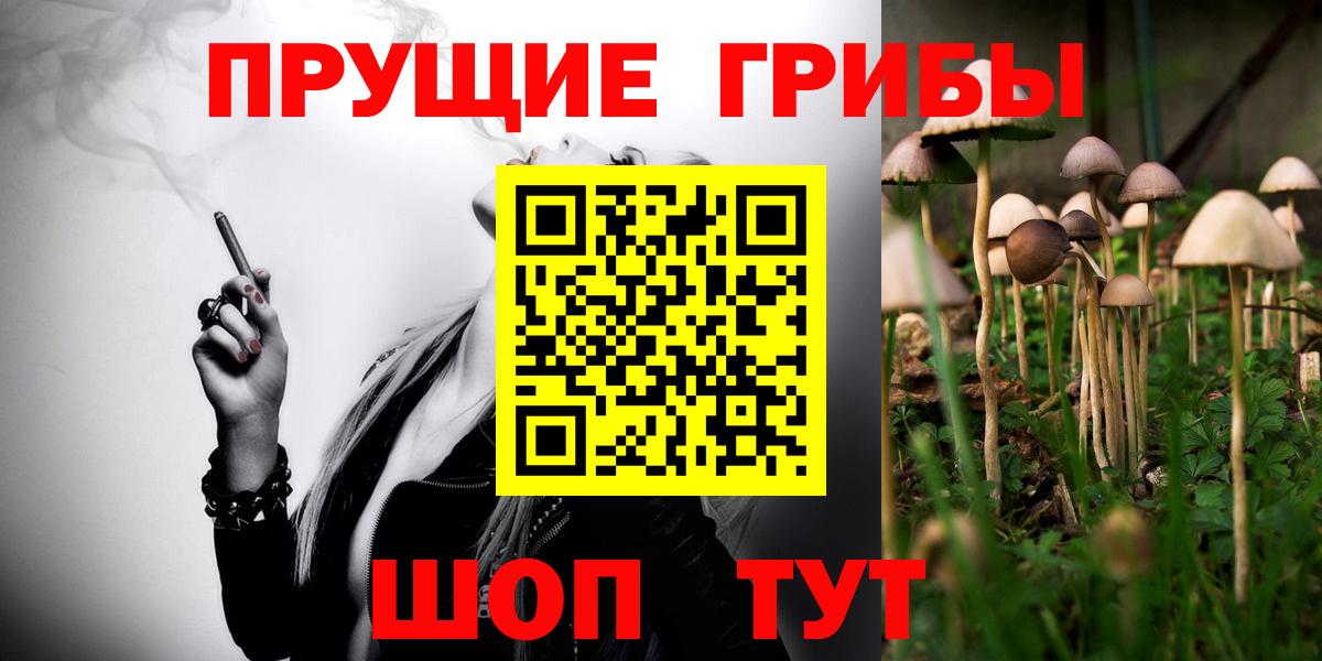 Галлюциногенные грибы мицелий  сколько стоит  Шуя 