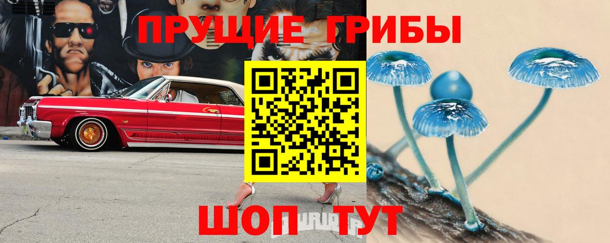 Галлюциногенные грибы мухоморы Шуя
