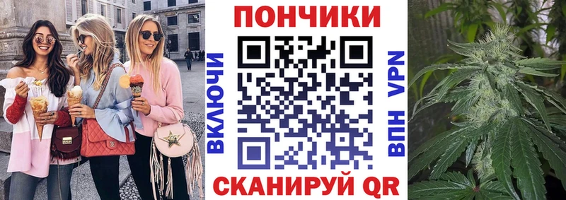 Марихуана индика Шуя