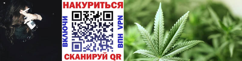 купить   Шуя  Бошки Шишки семена 